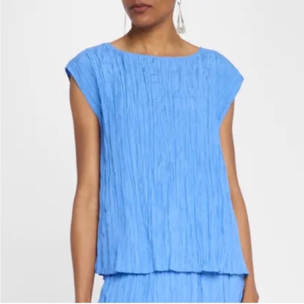 NWT Eileen Fisher Crushed Silk Ballet Neck Top